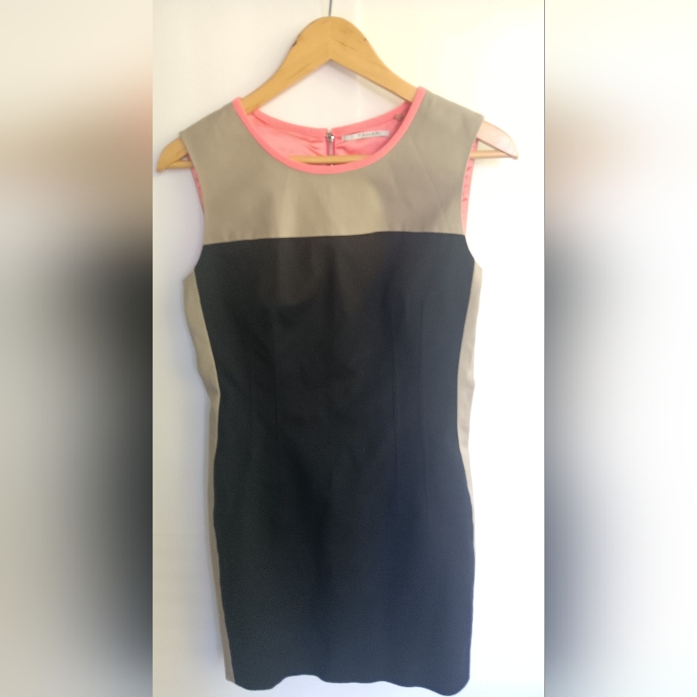 Elegant Black and Tan Sleeveless Dress